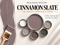 Benjamin Moore Cinnamon Slate 2113-40 Warm Sophisticated Paint Color Palette