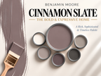 Benjamin Moore Cinnamon Slate 2113-40 Warm Sophisticated Paint Color Palette