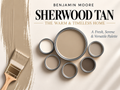 Benjamin Moore Sherwood Tan 1054 Warm Neutral Paint Color Palette