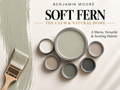 Benjamin Moore Soft Fern 2144-40 Soft Earthy Green Paint Color Palette