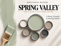 Benjamin Moore Spring Valley 438 Earthy Green Paint Color Palette