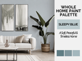 A styled interior room scene with a white sofa, wall art, a large potted plant, and a coffee table, alongside text reading 'WHOLE HOME PAINT PALETTE' and 'SLEEPY BLUE' with three blue swatches. This is not a clean isolated product shot and not a pure color tile, so the best fit is Lifestyle because a real home environment is present.